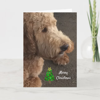 Cartão De Festividades Airedale Dog Saudação de Natal
