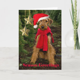 Cartão De Festividades Airedale Season Greetings