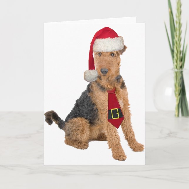 Cartão De Festividades Airedale Terrier no chapéu do papai noel (Frente)