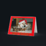 Cartão De Festividades Akita bonito no chapéu vermelho do papai noel com<br><div class="desc">O nome deste japonês que bonito e muito bonito akita está neste grande Natal cad é nomeado Ásia, é um akita vermelho, parte akita de tipo americano e peça o tipo japonês akita. Ásia é um cão do salvamento e este era seu primeiro Natal, olha agradável e relaxed na imagem,...</div>