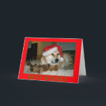 Cartão De Festividades Akita bonito no chapéu vermelho do papai noel com<br><div class="desc">O nome deste japonês que bonito e muito bonito akita está neste grande Natal cad é nomeado Ásia, é um akita vermelho, parte akita de tipo americano e peça o tipo japonês akita. Ásia é um cão do salvamento e este era seu primeiro Natal, olha agradável e relaxed na imagem,...</div>