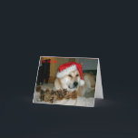 Cartão De Festividades Akita bonito no chapéu vermelho do papai noel com<br><div class="desc">O nome deste japonês que bonito e muito bonito akita está neste grande Natal cad é nomeado Ásia, é um akita vermelho, parte akita de tipo americano e peça o tipo japonês akita. Ásia é um cão do salvamento e este era seu primeiro Natal, olha agradável e relaxed na imagem,...</div>