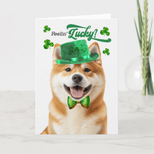 Cartão De Festividades Akita Dog Feelin' Lucky Dia de São Patrício