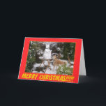Cartão De Festividades akita na neve com Natal do cão da neve do boneco<br><div class="desc">Esta imagem bonito de akita mostra um akita na neve grossa de dezembro que olha um boneco de neve akita que se esteja sentando na mesa do jardim, a vida onde real akita bonito está olhando a neve akita e querendo jogar, eu não penso que realiza que o akita está...</div>