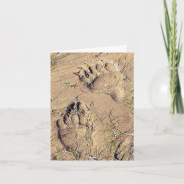 Cartão De Festividades Alaskan Grizz Tracks - 4" x 5.6" Notecard