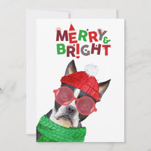 Cartão De Festividades Alegre & Brilhante Óculos de Boston Terrier Cachec