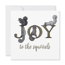 Alegre Diversão para os Esquilos Foto