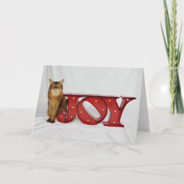 Cartão De Festividades Alegria do feriado que caracteriza a samba do (Frente)