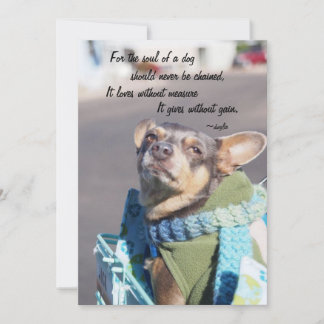 Cartão De Festividades Alma de um Cachorro - Chihuahua