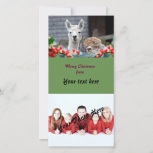 Cartão De Festividades Alpaca Christmas