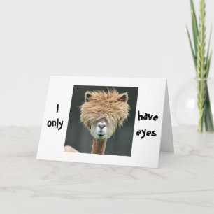 CARTÃO DE FESTIVIDADES ALPACA DIZ "EU SÓ TENHO OLHOS PARA VOCÊ"