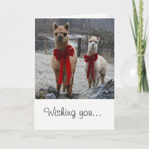 Cartão De Festividades Alpaca Holiday Greeting Card