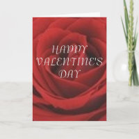 AMANDO O COLEÇÃO DO PRESENTE