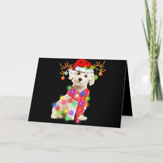 Cartão De Festividades Amante de Cachorro | Chapéu de Papai Noel do Maltê