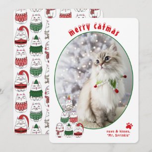 Cartão De Festividades Amante de Gatos Festa Gato Fofo Foto Natal