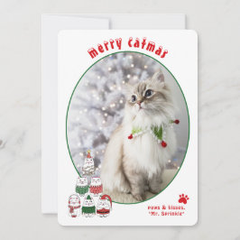 Cartão De Festividades Amante de Gatos Festa Gato Fofo Foto Natal