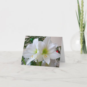 Cartão De Festividades Amaryllis Branca e Árvore de Natal