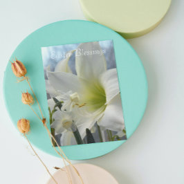Cartão De Festividades Amaryllis e Daffodils Páscoa Religiosa