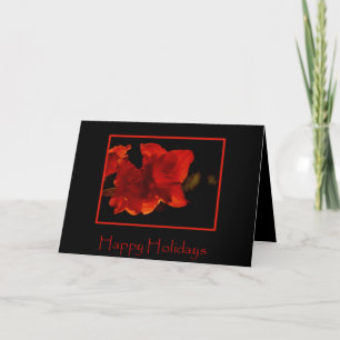 Cartão De Festividades Amaryllis Holiday Card