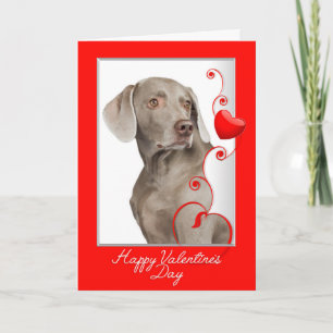 Cartão De Festividades Ame-o mais! Namorados de Weimaraner