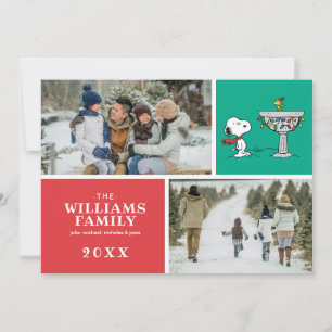 Cartão De Festividades Amendoins Snoopy & Woodstock congelado