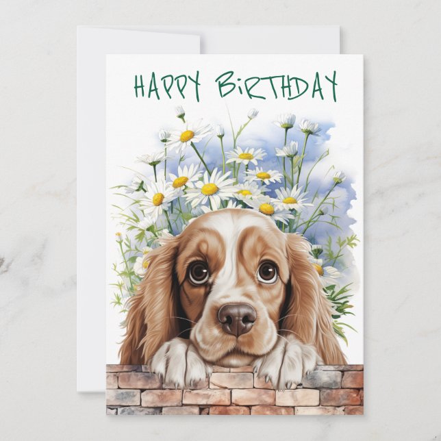 Cartão De Festividades American Cocker Spaniel Peeking (Frente)