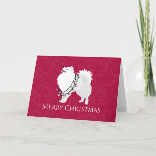 Cartão De Festividades American Eskimo Dog Merry Christmas Design