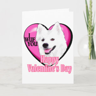 Cartão De Festividades American Eskimo Dog Valentines