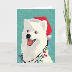 Cartão De Festividades American Eskimo Samoyed Cute Puppy Dog Christmas