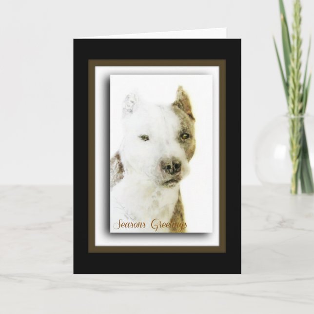 Cartão De Festividades American Pit Bull Terrier (Frente)