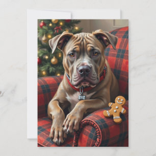 Cartão De Festividades American Staffordshire Terrier Natal Aconchegante