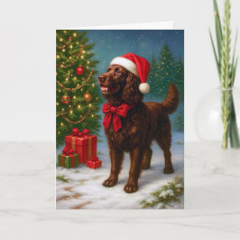 Cartão De Festividades American Water Spaniel Holiday Card