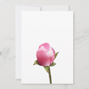 Cartão De Festividades Amiga de Maçã