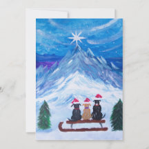 Amigos de Cachorrinho de Inverno