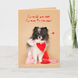 Cartão De Festividades Amigos para o Namorados Puppy Pomeraniano