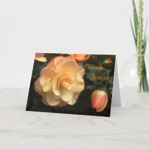 Cartão De Festividades Amigos para sempre