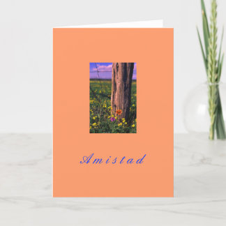 Cartão De Festividades "Amistad"