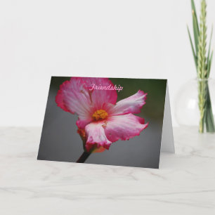 Cartão De Festividades Amizade