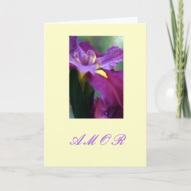 Cartão De Festividades "Amor " (Frente)