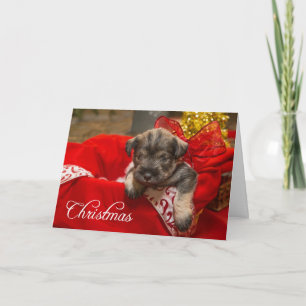 Cartão De Festividades Amor de Natal