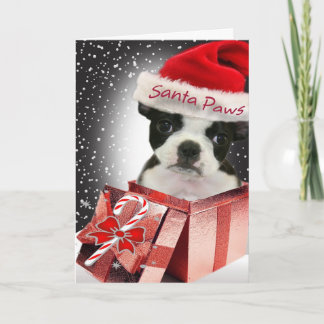Cartão De Festividades Amor que das patas do papai noel de Boston Terrier