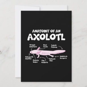 Cartão De Festividades anatomy of an axolotl axolotls biology science