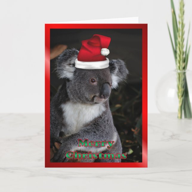 Cartão De Festividades Animais AUSTRALIANOS do Natal do xmas do koala do (Frente)