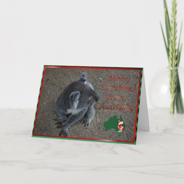 Cartão De Festividades Animal australiano do Xmas do Natal do koala do (Frente)