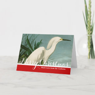 Cartão De Festividades Aniversário de Ave-de-Egrete Branca de Audubon Sno
