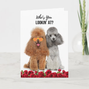Cartão De Festividades Aniversário Yappy com Rosas de Casal de Poodle