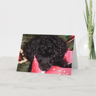 Cartão De Festividades Anjo do Natal