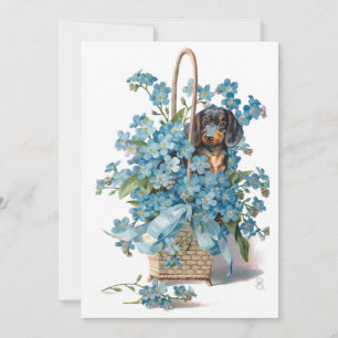 Cartão De Festividades Antique Valentine Forget me Nots & Dachshund Card 