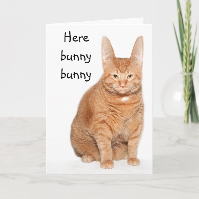 Cartão De Festividades Aqui coelho do coelho (Frente)