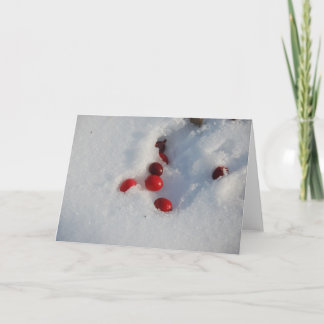 Cartão De Festividades Arandos na neve